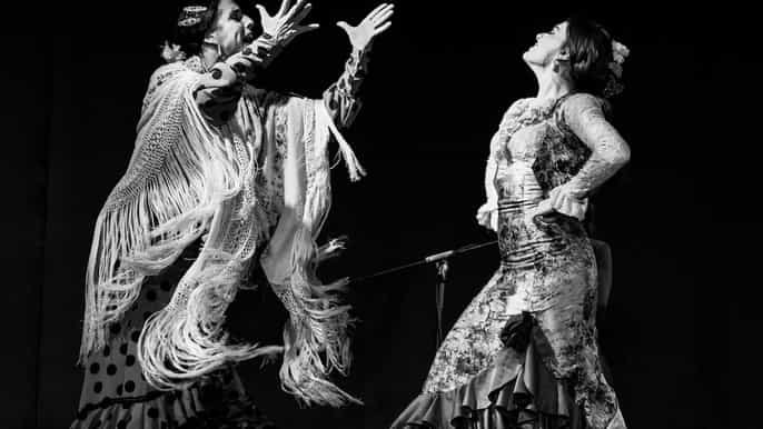 café ziryab espectáculo de flamenco en madrid