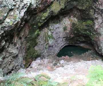 Z Rotorua: 1-dniowa wycieczka do Taupo z Orakei Korako lub Waiotapu
