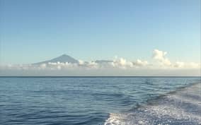 - Canarie.it