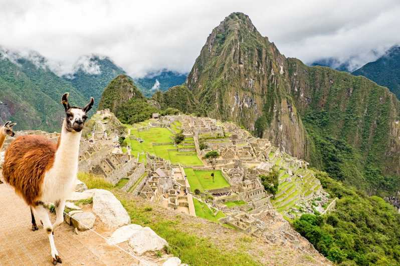 De Cusco: Excursão de 1 Dia Machu Picchu com Almoço Opcional