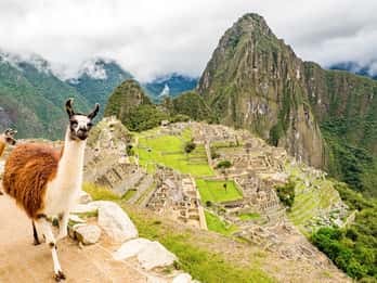 Ab Cusco: Tagestour nach Machu Picchu mit Mittagessen-Option Ab Cusco: Tagestour nach Machu Picchu mit Mittagessen-Option