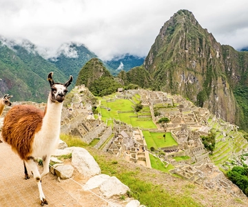 Machu Picchu: Dagvullende tour vanuit Cusco met optionele lunch