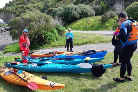 Christchurch: excursión en kayak de marTour privado