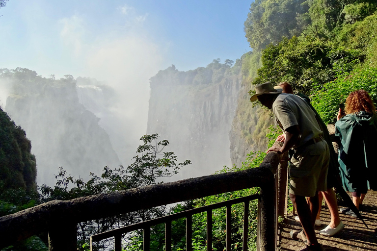 3 Días Explora Zambia, Zimbabue y el Parque Chobe en Botsuana