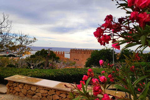 Almería: Tour em pequenos grupos pela AlcazabaAlmeria: excursão para grupos pequenos em Alcazaba em espanhol