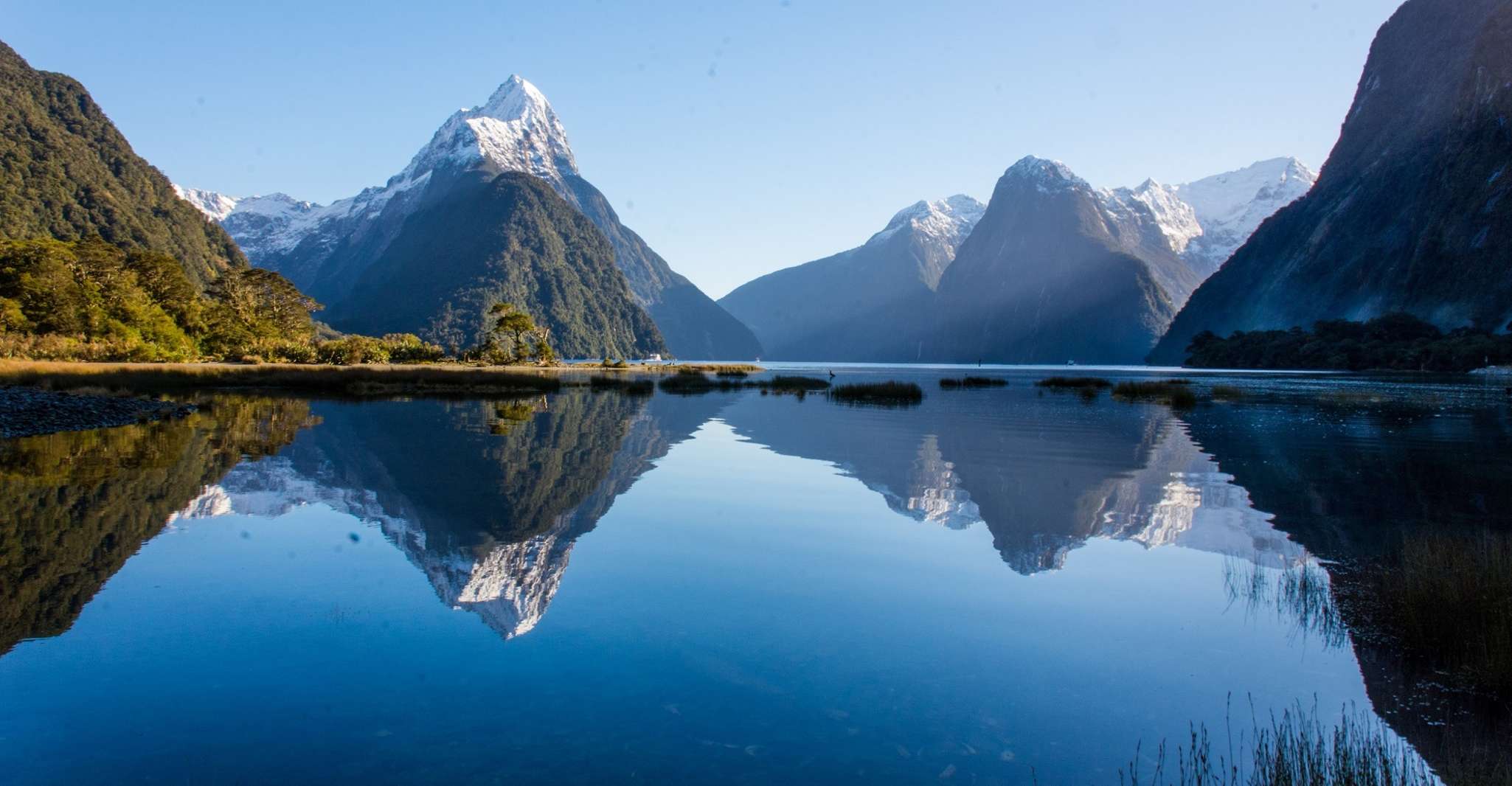 Queenstown, Milford Sound Cruise & Helicopter Alpine Tour - Housity