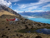 Milford Sound Fiord Kreuzfahrt & Hubschrauber Gletscher Landung - Hizvo