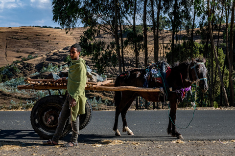 Addis Abeba - 1-dniowa wycieczka do Debre Libanos