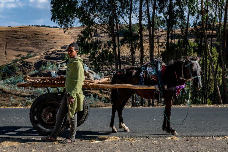 Addis Abeba - 1-dniowa wycieczka do Debre Libanos