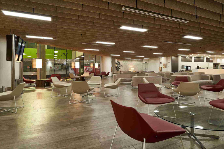 AGP Malaga Airport Sala VIP Lounge Access