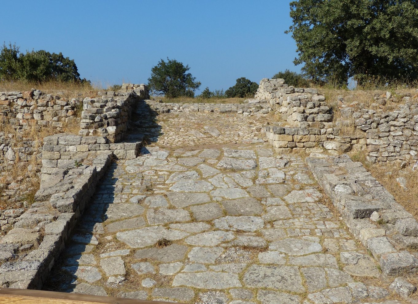 Canakkale: Halvdagstur til Troja