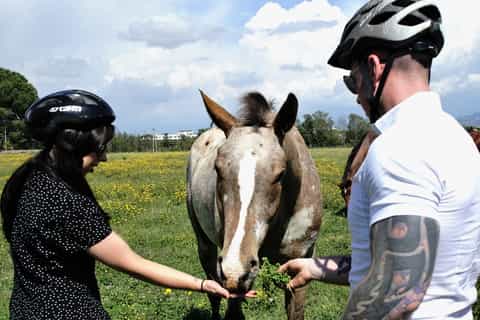 Ancient Appian Way, Aqueducts & Catacombs E-Bike Tour
