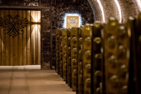 Vienne: visite guidée ou autoguidée de la cave à vin SchlumbergerVisite guidée étincelante en allemand