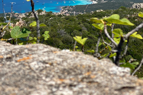 Costa Smeralda: Quad tour with views, the sea and adrenaline. Basic Quad Tour (2 people per quad)