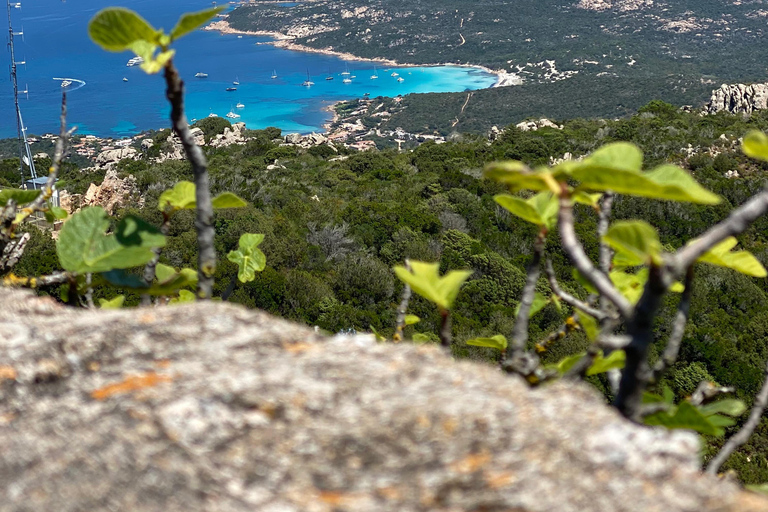 Costa Smeralda: Quad tour with views, the sea and adrenaline. Basic Quad Tour (2 people per quad)