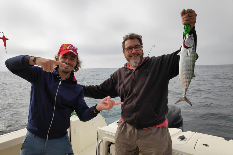 Cadiz Bay: 3 hours tour in a private boat in the Cadiz Bay