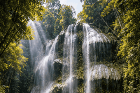 Cebu: Oslob Whale Sharks, Tumalog Falls & Sumilon Sandbar - Image 2