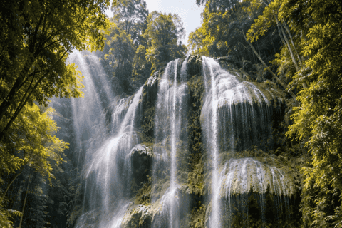 Cebu: Oslob Whale Sharks, Tumalog Falls & Sumilon Sandbar - Image 3