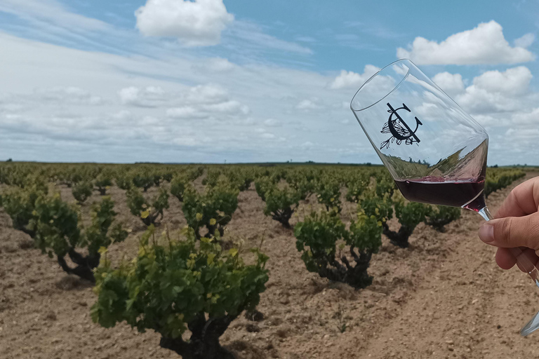 Toro: Harvest Experience