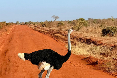 Mombasa: 3-Day Tsavo East/West & Kilimanjaro Views Safari