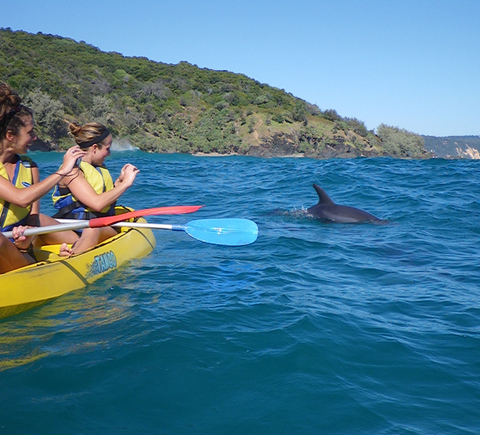 Water activities