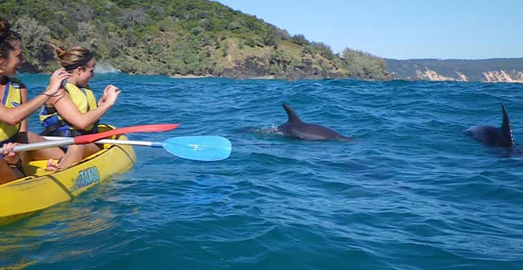 Passeio de caiaque com golfinhos em Byron Bay Tour Guided 2024