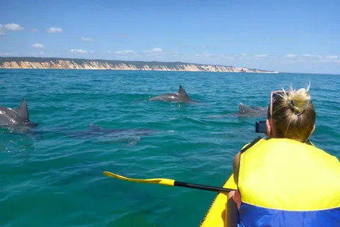 Noosa Excursión en kayak de mar con delfines y en 4x4 por la playa (en el Parque Nacional)