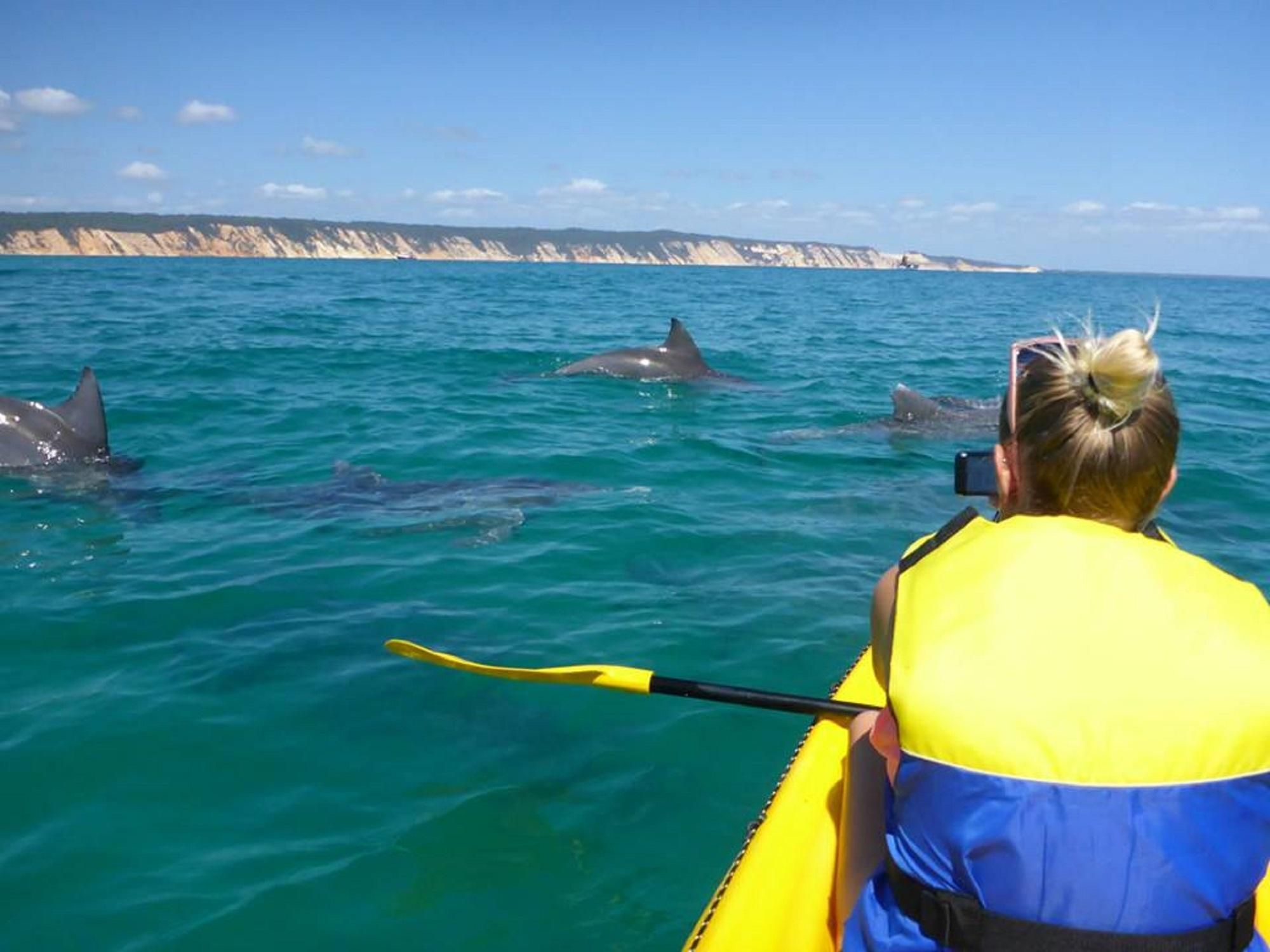 Noosa: Kajakfahrt mit Delfinen & Strandabenteuer mit Geländewagen
