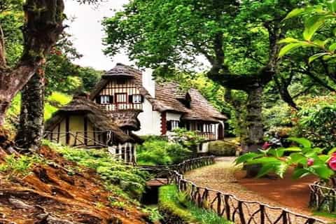 Madeira: Santana Traditional Houses Private Half-Day Tour