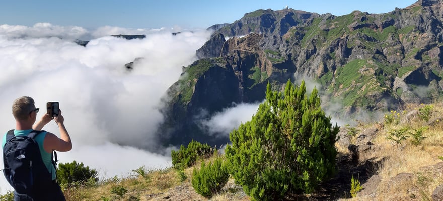 guided tours madeira