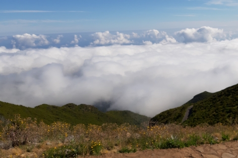 Madeira: Guía Privada Achadas Teixeira - Pico Ruivo PR1.1Funchal, Canico, Cma Lobos