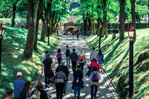 Oslo: Privater Rundgang durch die StadtOslo: Privater Rundgang durch die Stadt auf Deutsch