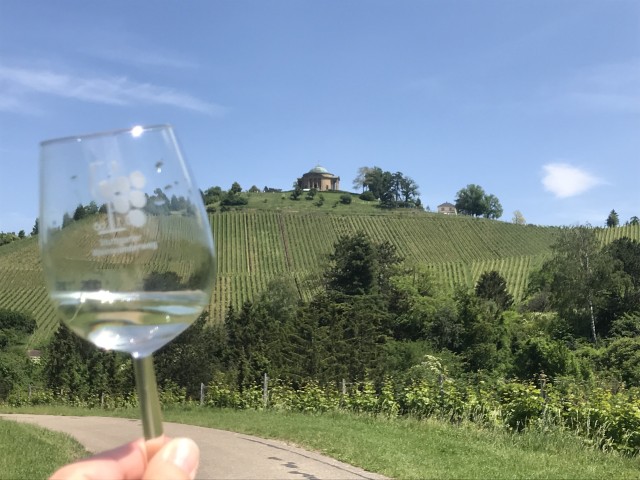 Visit Stuttgart 2-Hour Vineyard Hike with Tastings in Stuttgart