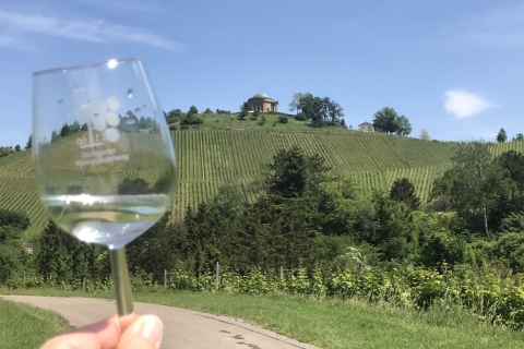 Stuttgart: 2-Hour Vineyard Hike with Tastings Shared Hike with Tastings