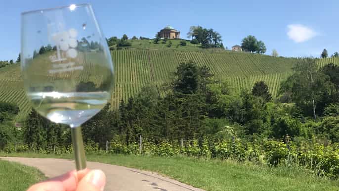 stuttgart 2hour vineyard hike with tastings