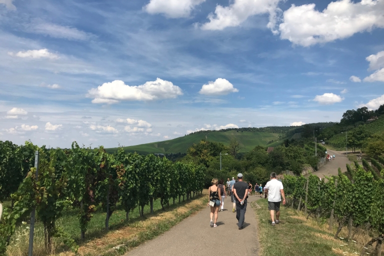 Stuttgart: 2-Hour Vineyard Hike with Tastings Shared Hike with Tastings