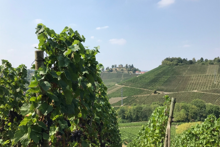Stuttgart: 2-godzinna wycieczka po winnicach z degustacjamiWspólna wędrówka z degustacjami