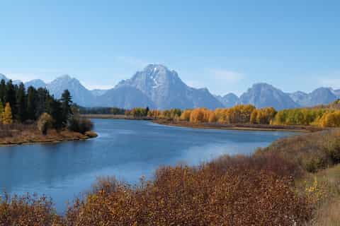 Jackson: Grand Teton National Park Half-Day Small-Bus Tour
