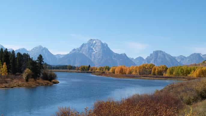 grand teton national park half day tour