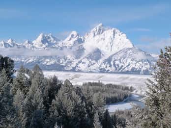 Jackson: Halbtägige Kleinbustour zum Grand Teton National Park Jackson: Halbtägige Kleinbustour zum Grand Teton National Park