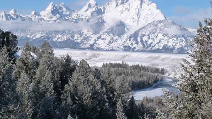 tour de medio día al parque nacional grand teton