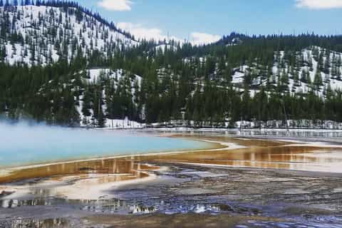 Jackson, Wyoming: Full-Day Yellowstone Lower Loop Tour