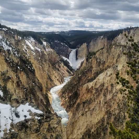 Jackson, Wyoming FullDay Yellowstone Lower Loop Tour GetYourGuide