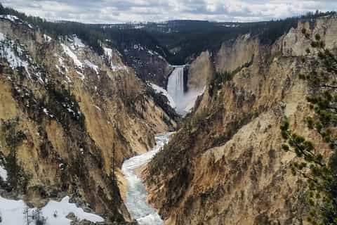 Full-Day Yellowstone Lower Loop Tour from Jackson, Wyoming