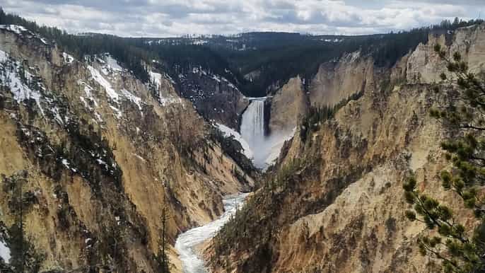 desde jackson wyoming tour por yellowstone lower loop