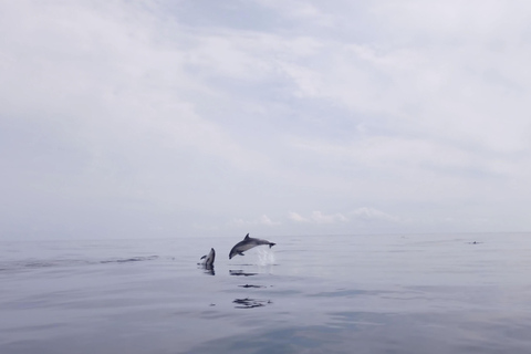 Saint-Malo: Sailing & Water cab