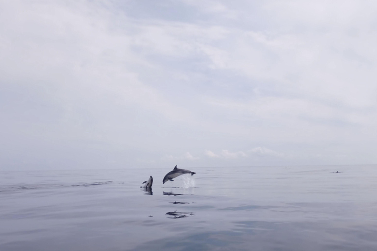 Saint-Malo: Sailing & Water cab