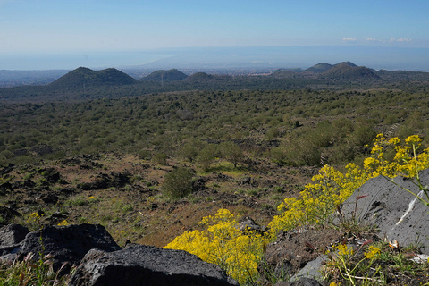 Monte Etna: tour de medio día en jeep por la mañana