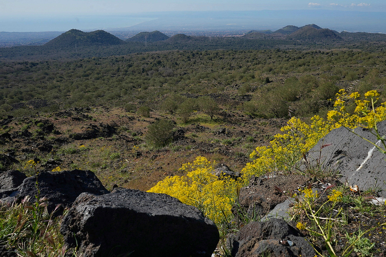 Mount Etna: Half-day Morning Jeep Tour