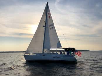 Hilton Head Island: Private 2,5-Stunden-Segel- und Delphinwache Hilton Head Island: Private 2,5-Stunden-Segel- und Delphinwache